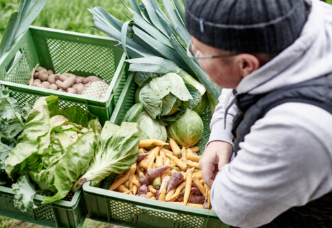 Portraitfotografie-Hohenhaus-Gemüsebauer-013434