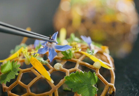 Hotelfilm-Werbefilm-Imagefilm-Hotel-Hohenhaus-2553