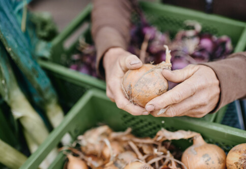 Portraitfotografie-Hohenhaus-Demeter-013387