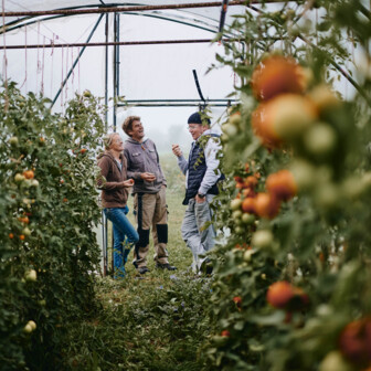 Portraitfotografie-Hohenhaus-Gemüsebauer-01300