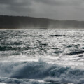Nazare-9280